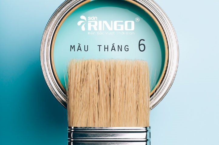 Màu Của Tháng 6