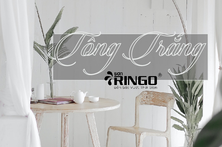 Vì sao màu trắng luôn là tông màu được yêu thích 